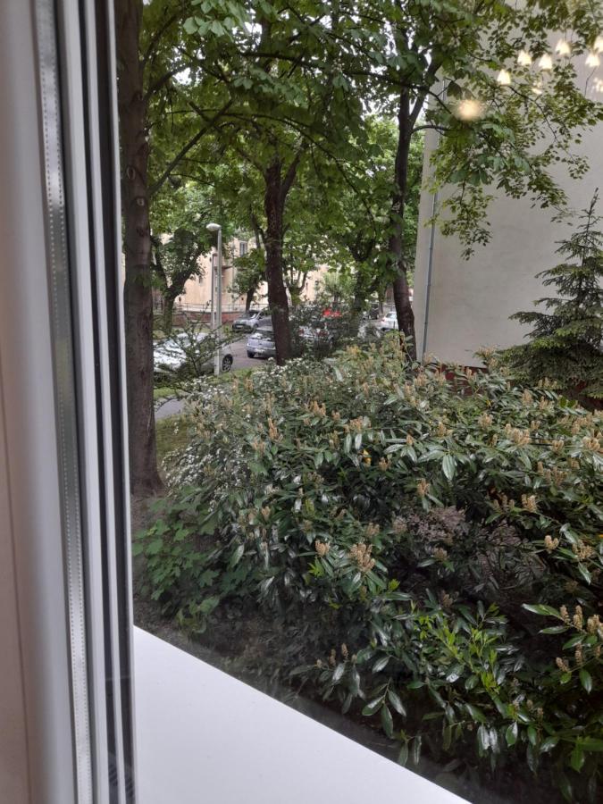 Pecs Park Apartment Bagian luar foto